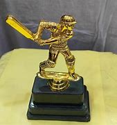 Image result for Best Crystal Cricket Trophy