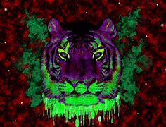 Image result for Trippy Tiger