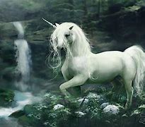 Image result for White Unicorn Majestic