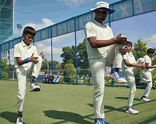 Image result for Cricket for Kids Images Unsplash
