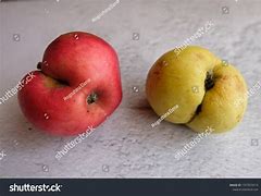 Image result for Apples Comparison Disfigured