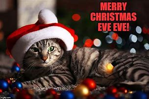 Image result for Christmas Eve Eve Meme