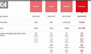 Image result for Netflix Price Indonesia