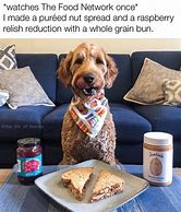 Image result for Dog Food Meme