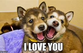 Image result for Puppy Love Meme