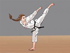 Image result for Karate Kicks and Punches
