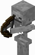 Image result for Minecraft Skeleton Back