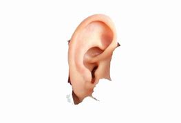 Image result for Hearing Aid OTC D. Rowell Ear