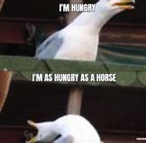 Image result for How Hungry Are You Horse Meme