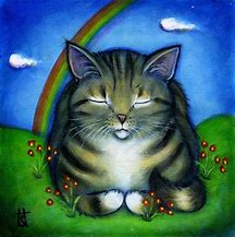 Image result for Cartoons of Cat On Rainbow Bridge