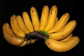 Image result for Banana