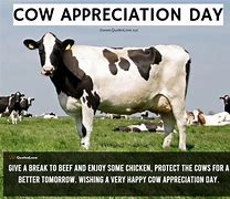 Image result for Happy Cow Day