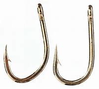 Image result for Carp Hooks