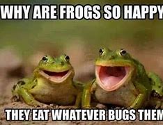 Image result for Fun Easter Frog Meme