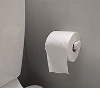 Image result for Toilet Paper Holder Design