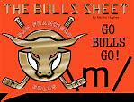 Image result for Chivagp Bulls