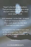 Image result for Beautiful Poetry About Life