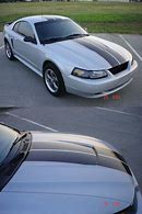 Image result for 2003 silver mustang with black racing stripes