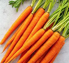 Image result for Fat Carrot