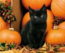 Image result for Halloween Photos