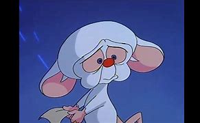 Image result for Sad Pinky and the Brain