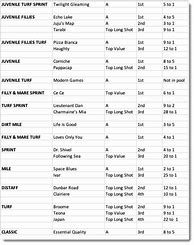 Image result for Breeders' Cup Seating-Chart