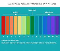 Image result for Acid Alkaline