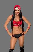 Image result for WWE Nikki Bella News