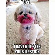 Image result for Dog Lipstick Meme