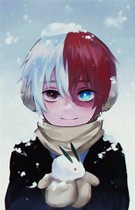 Image result for Little Todoroki