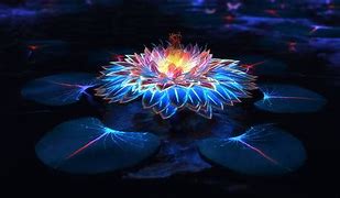 Image result for Psychedelic Flowers