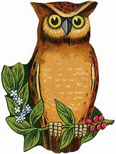 Image result for Owl Vector Art