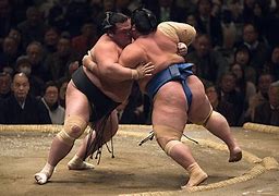 Image result for Elite Sumo