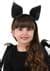 Image result for Bat Ears Accesory