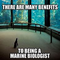 Image result for Fish Biology Memes