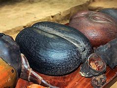 Image result for Which Fruit Has the Biggest Seed