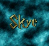 Image result for Skye Name Logo