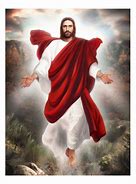 Image result for Jesus Wore a Dress Meme