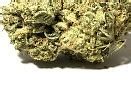 Image result for Fire OG Marijuana Strain