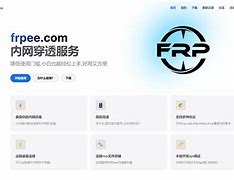 Image result for 内网穿透 FRP Logo