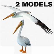 Image result for Giant Pelican 3D Model