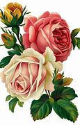Image result for Vintage Yellow Rose Clip Art