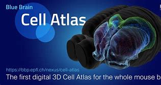 Image result for Atlas DSP 3D Mesh
