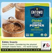 Image result for Powdered Crickets