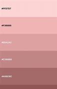 Image result for Rose Gold Color Palette Hex