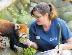 Image result for Animals Being Kind