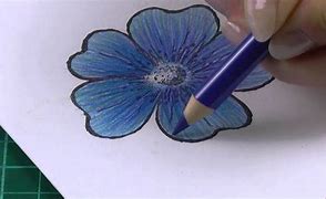 Image result for Bob the Angry Flower Drawing