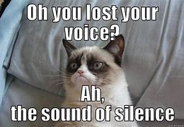Image result for Lost Voice Meme