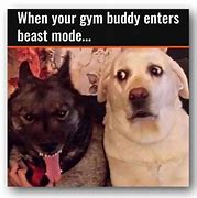 Image result for Fitness Memes Animals