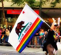 Image result for California Pride Flag